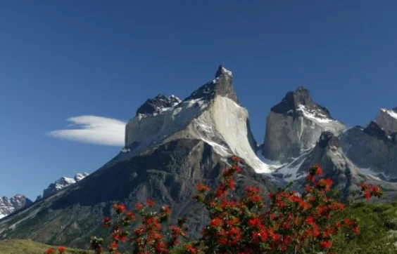 c3d3971e-4a5e-41bf-9439-ac1fd3a450d8