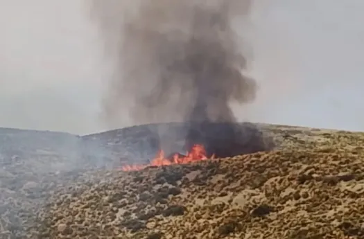 ba3afa10-250b-4bdc-937e-b17dce1b08be