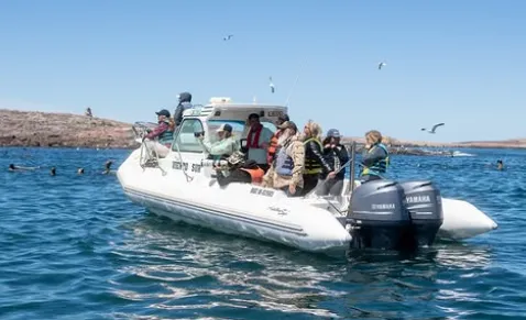 b2adc408-8a70-4496-a036-d68402890fa6