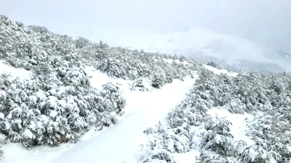 5b5c0a2f-4708-4bb7-898a-4f6972850cb8