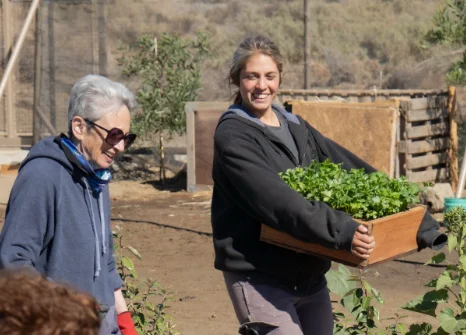 27b60c52-e26e-43e9-a4c3-ce870543b779