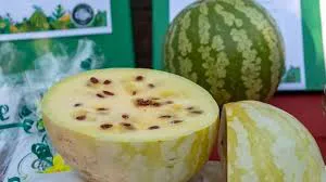 680ca547-e12c-4a94-bdde-183d3c901207