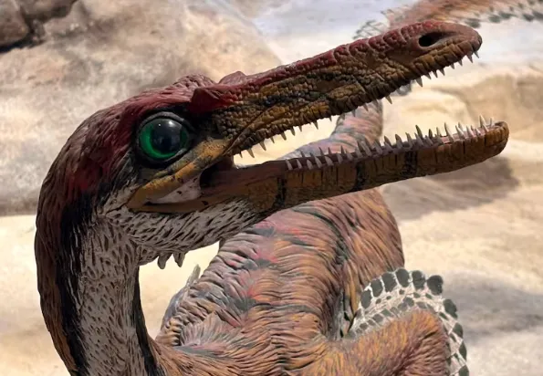 81a1e3b2-bd86-41b0-aefa-b66a89299fa3