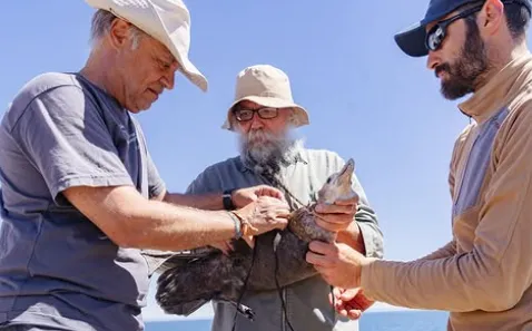 231f6b12-b690-4a45-ab6f-67d1487895ce