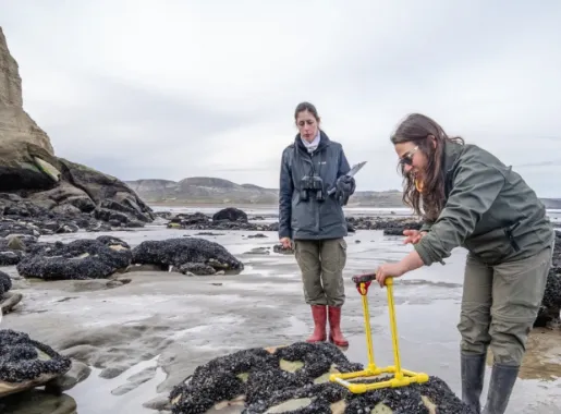 5f992d2f-56fe-49b6-8e5c-d7a30ad80e2c