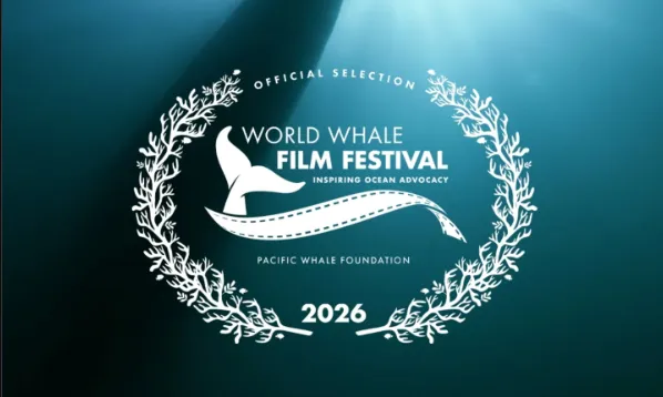 cf206e21-602e-4536-9b6b-c53a83a665b4