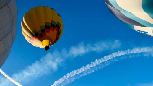 20c6daad-3fb9-45c3-9bd8-608f906c746d