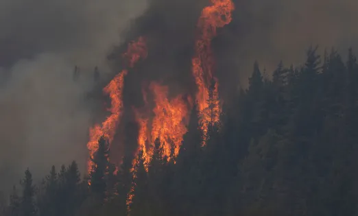 aa976b90-6ba5-4577-b7c9-c1a6c273222b