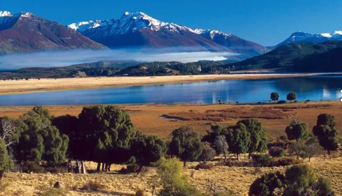 68b8a28f-6d39-441c-9d85-5f9455bc0aa0