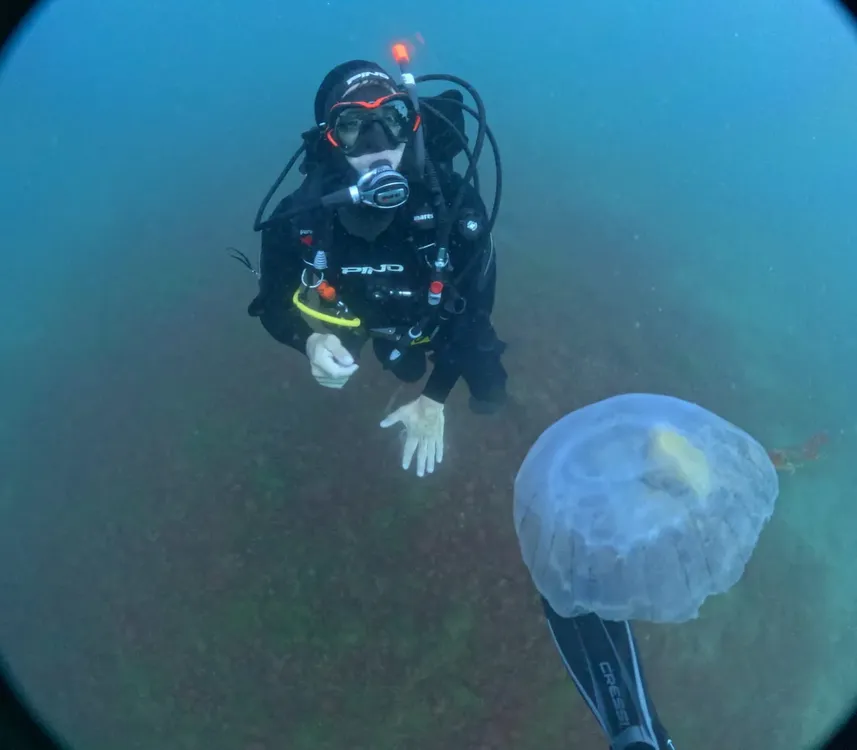 5390d05c-601e-4755-ac6c-b46be7b30844