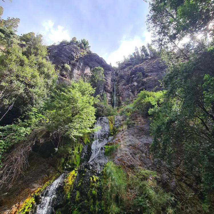 WhatsApp Image 2025-02-11 at 3.35.29 AM