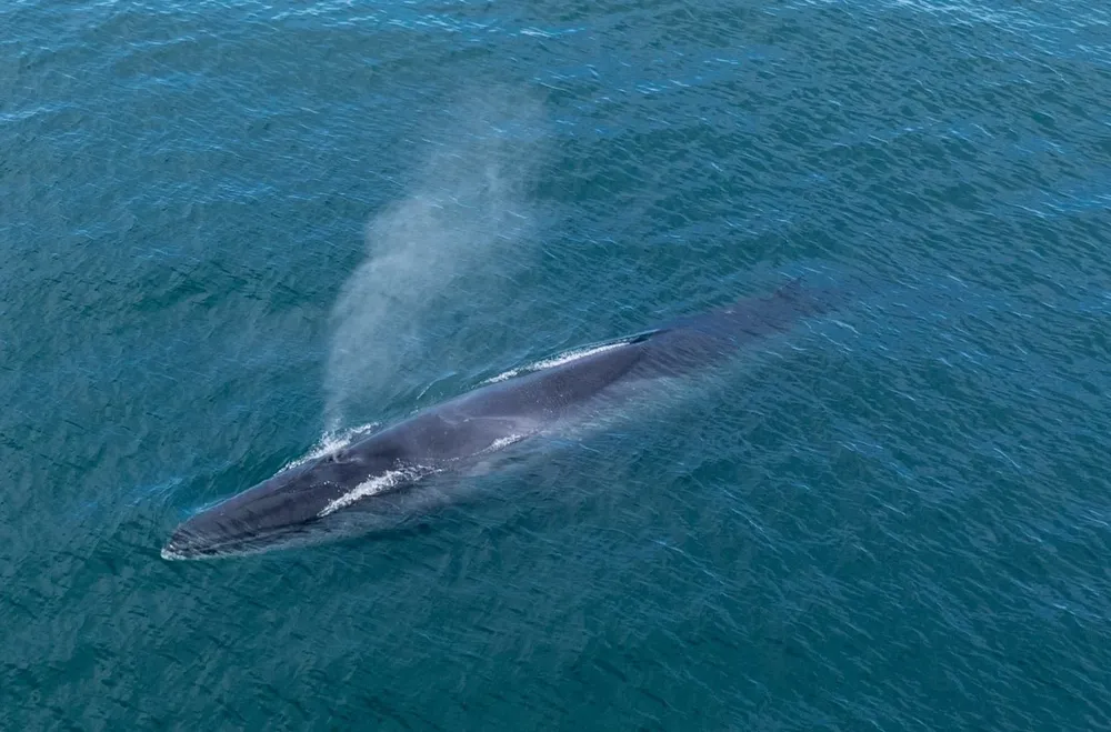 WhatsApp Image 2025-06-30 at 6.52.55 PMt