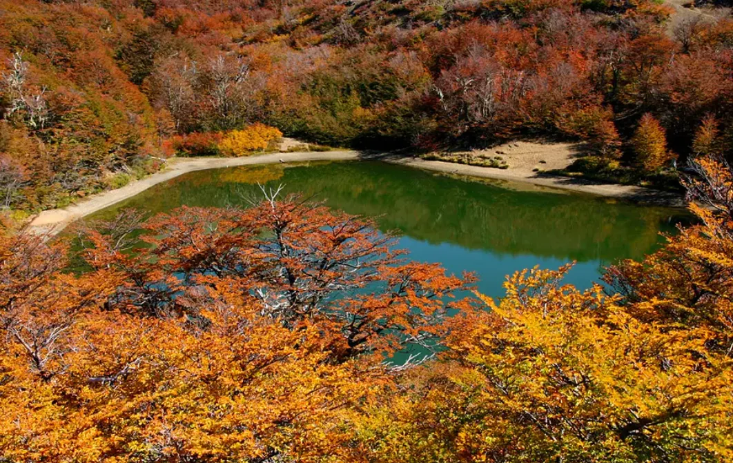 d3bc3ad4-2156-4337-a8e0-1cbf47705244