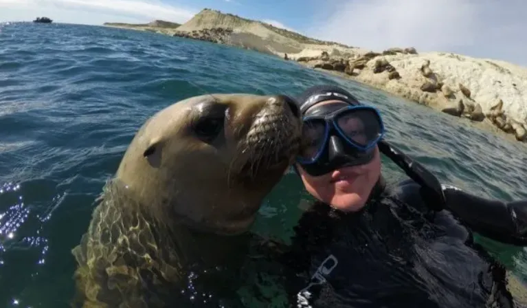 8608c9d4-8fb7-4243-b406-5881aca45723