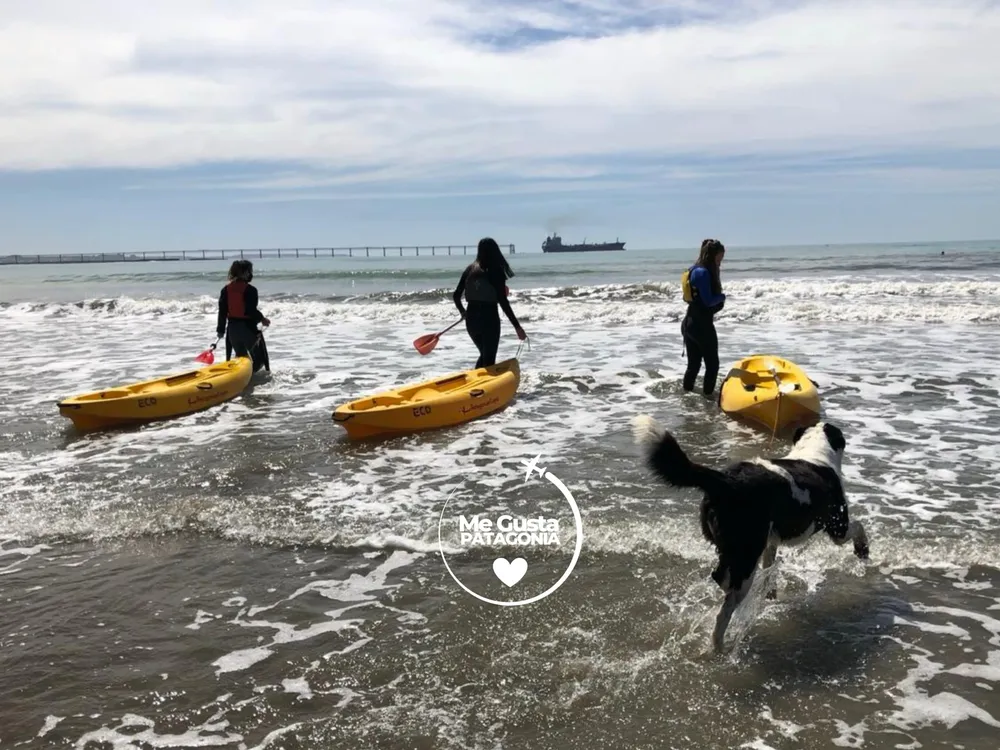 Diseño sin título (15)