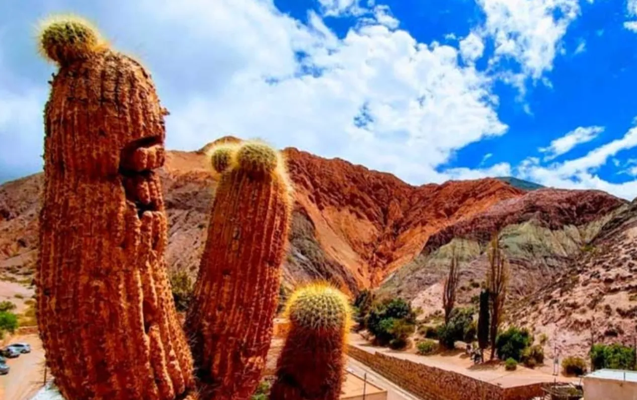 90b720d6-ec75-4555-96bb-e3ce37475040