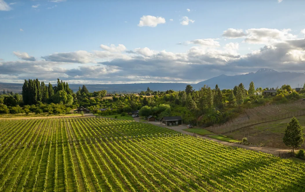 6f3dcb41-f3b6-452c-a06d-77a93bc4981b