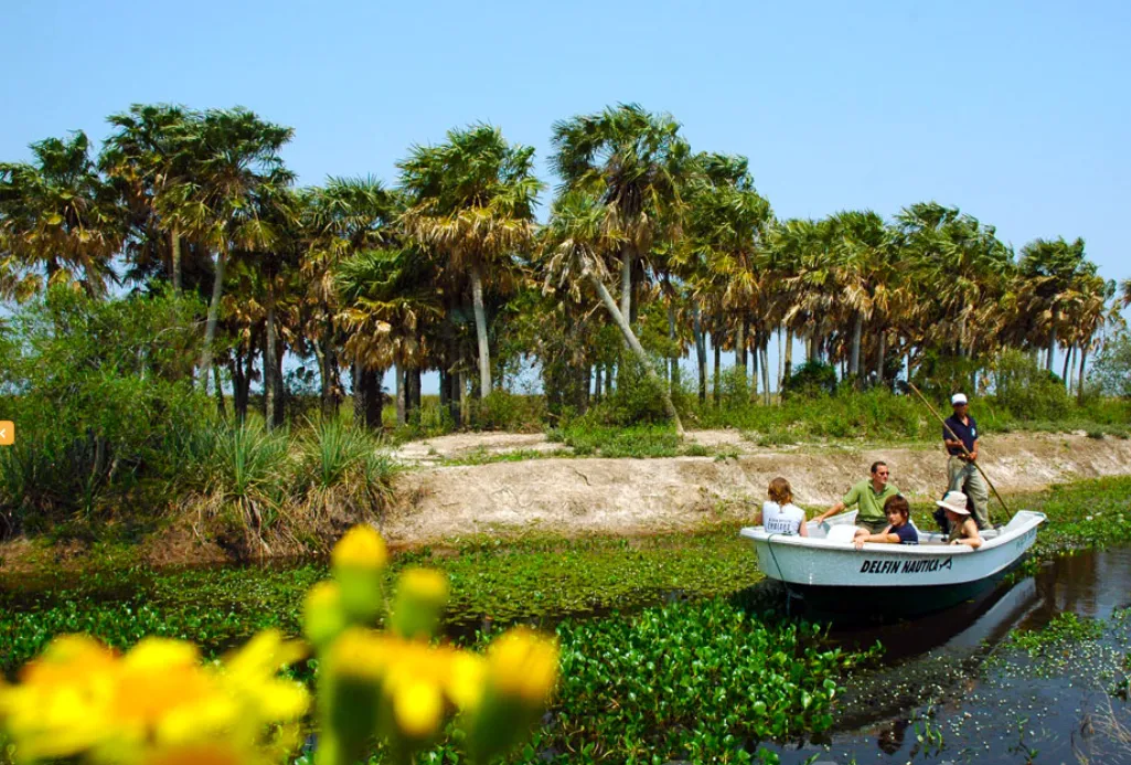 eff2d561-9ffd-45c2-ae8a-e4cc02eed4fe