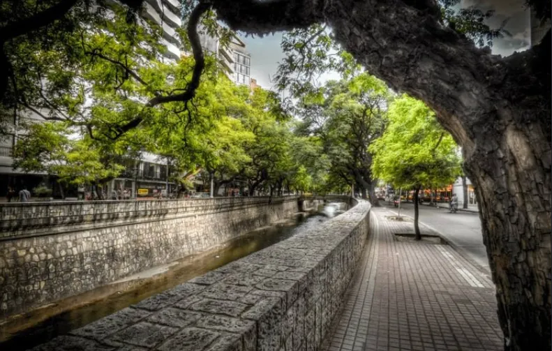 fff23fad-56b5-490d-9955-cf799ff91be6