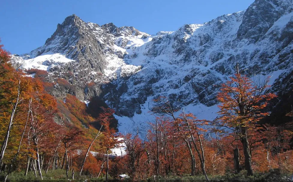 d2d74372-ff0a-47f6-86cc-aeb0f074517d