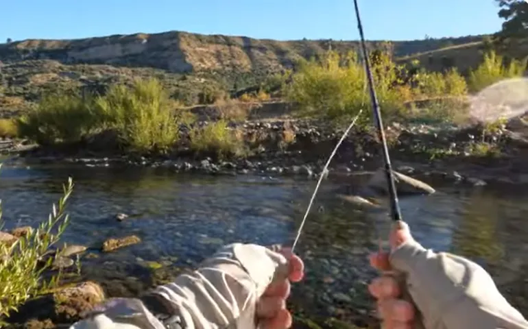 rio-percy-pesca-mosca