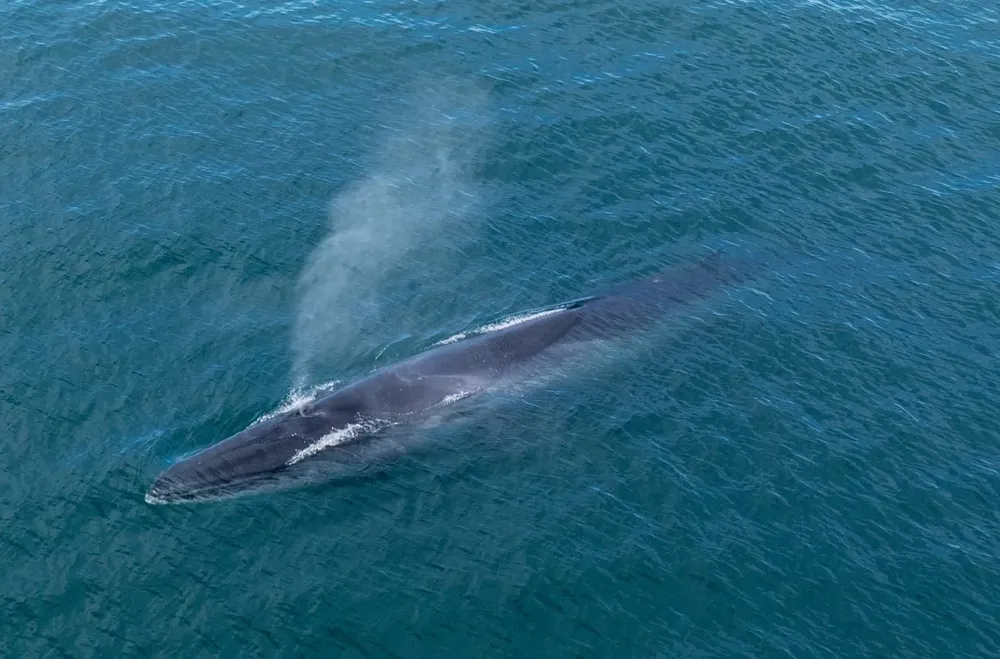 WhatsApp Image 2025-06-30 at 6.52.55 PMt