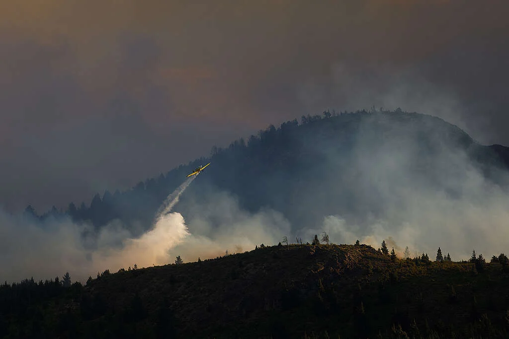 2e9b9d3c-incendios-en-epuyen-©-matias-garay-greenpeace-01-1024x683