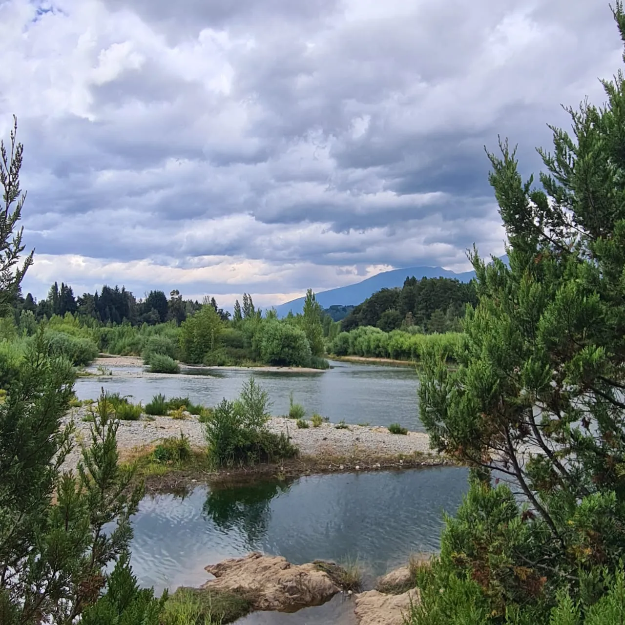 WhatsApp Image 2025-02-11 at 3.35.29 AM (1)