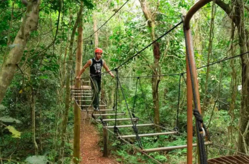 4920d170-aa53-42fd-b4f0-7e15e1c2fe05