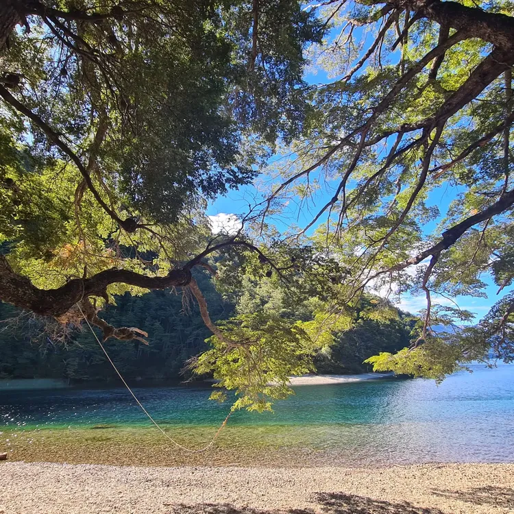 WhatsApp Image 2025-02-11 at 3.50.58 AM