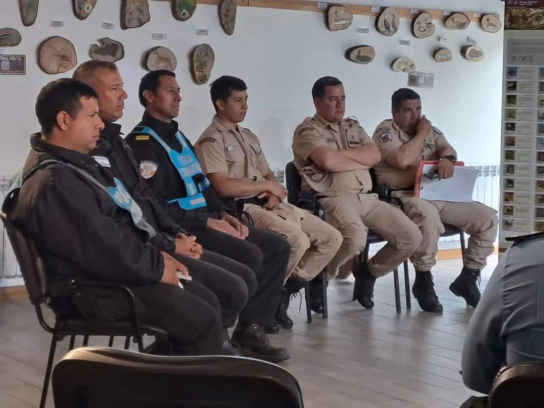 SaveClip.App_469328653_977531774224702_5393098185481094311_n