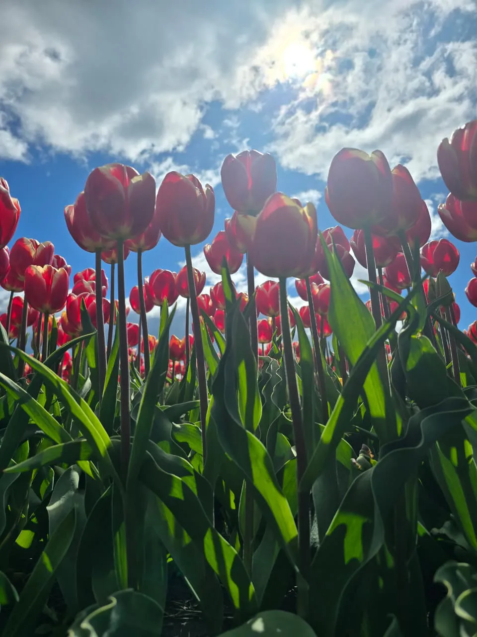 WhatsApp Image 2025-10-13 at 9.01.39 PM (1)