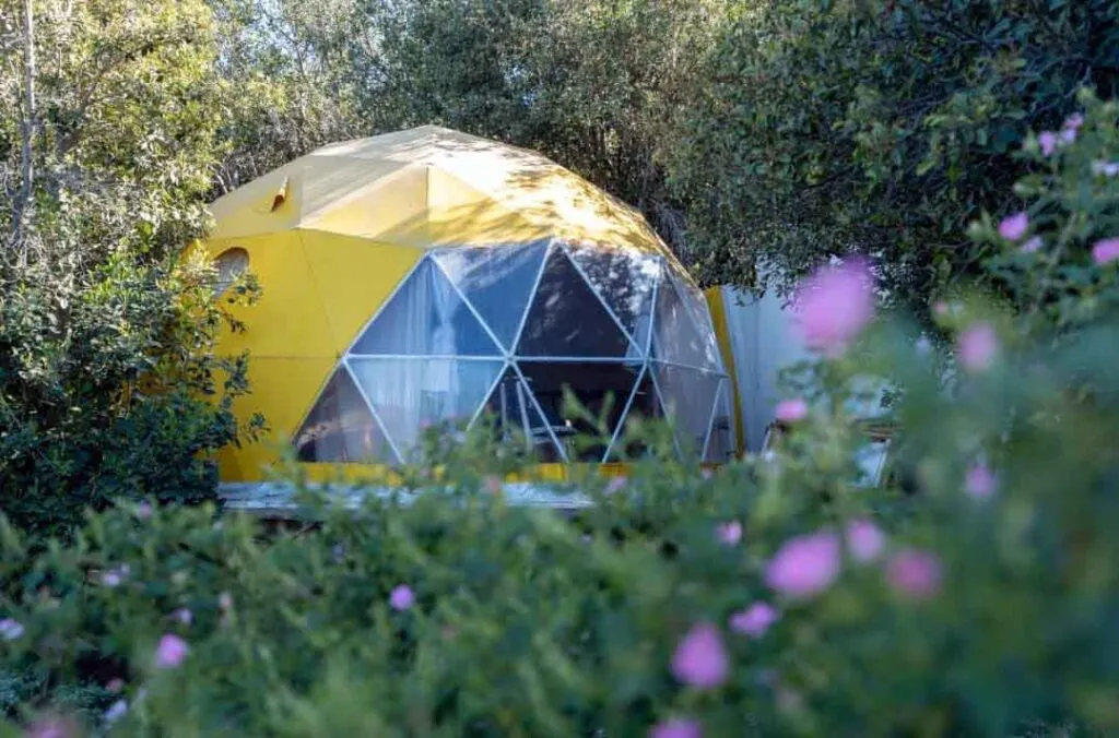 WhatsApp-Image-2025-12-22-at-10.43.00-AM-1-1024x676