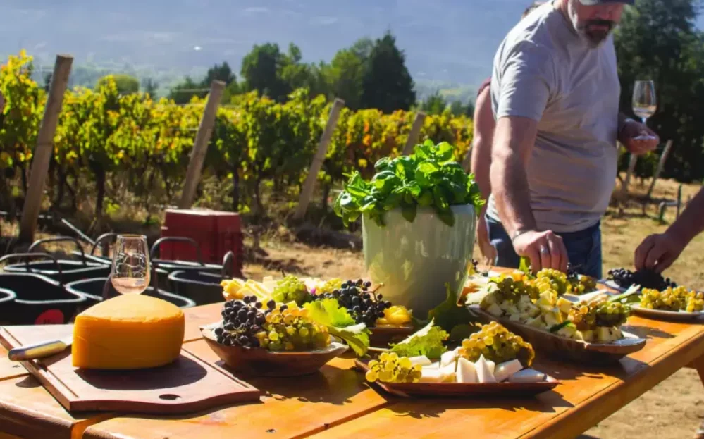 93a744db-e6a8-4638-952a-af45a33ccf3f