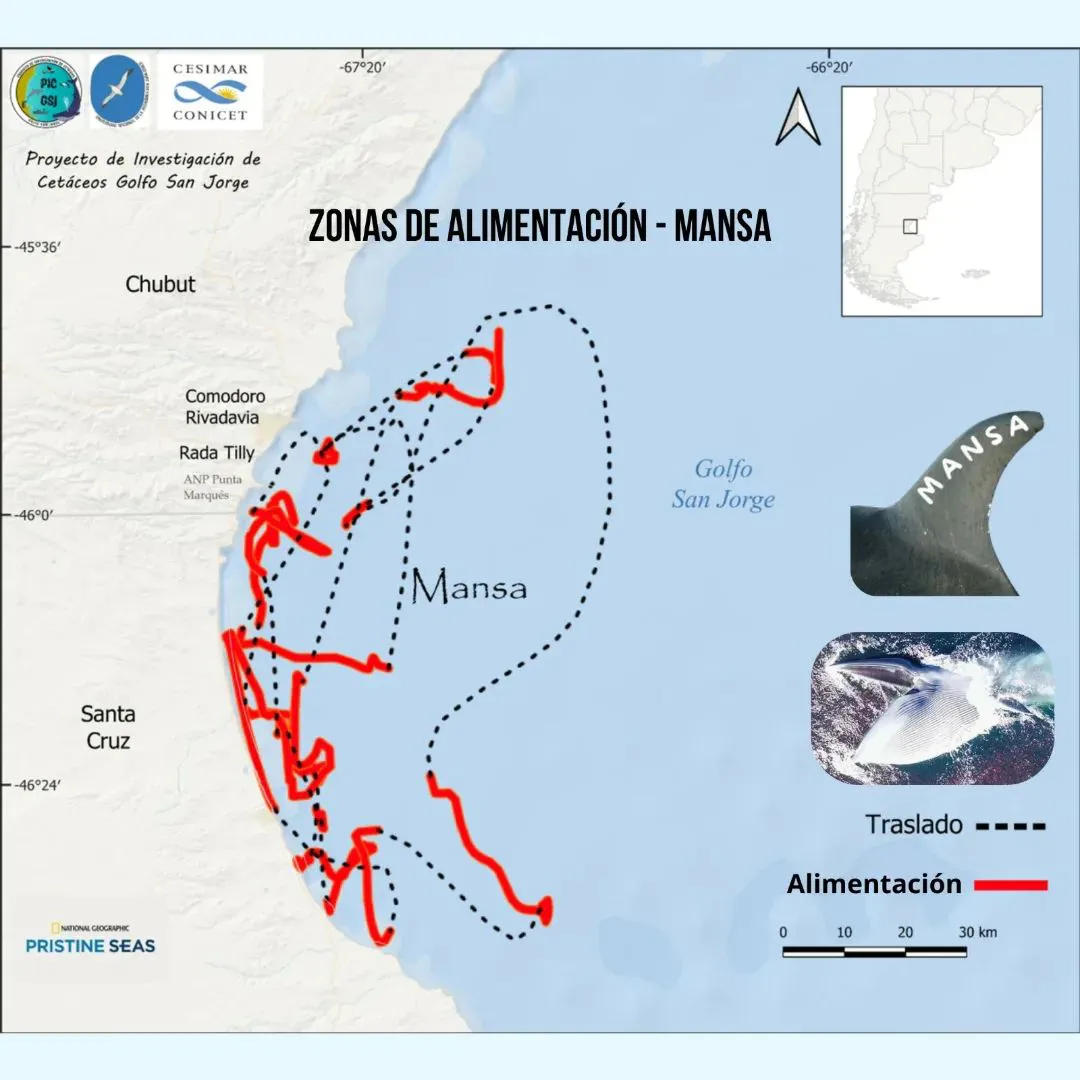 SaveClip.App_464739458_1103498984477764_7125444131440920990_n