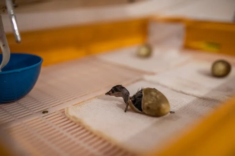 e76d0db280c85f299a14578bafa41284