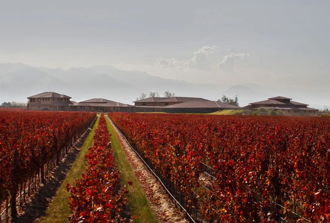 mendoza-1