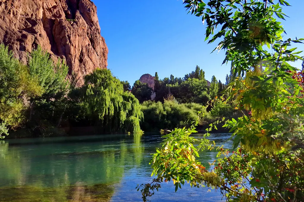 16082310294_a26ac65b15_b