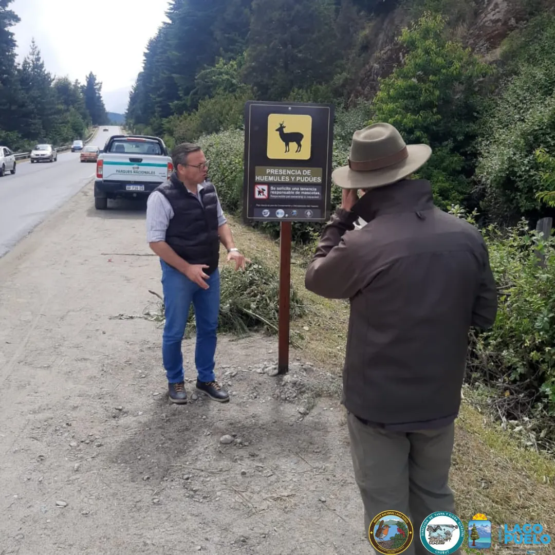 SaveClip.App_469642119_980229450621601_8657658213280929248_n