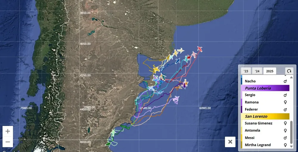 f8a6345c-c982-45ff-9078-a8eae98df7ea