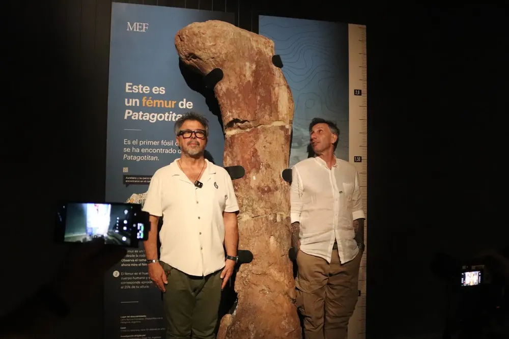 fa12b1f0-a8e6-4376-8ee6-b62d1f837bfb