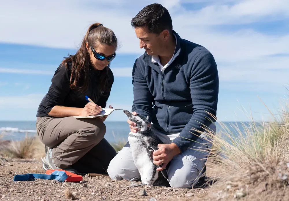 f55af72e-596d-0365-59b0-b912f0b33dda