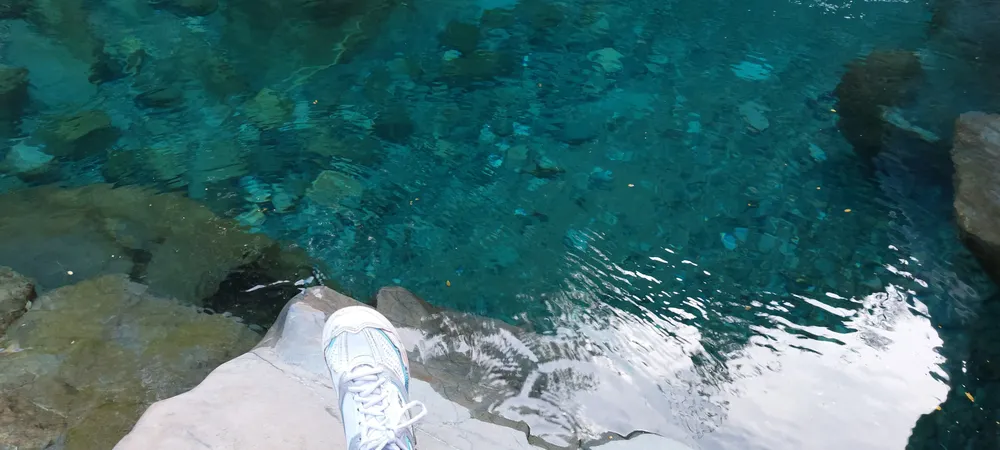 WhatsApp Image 2024-10-02 at 19.43.17