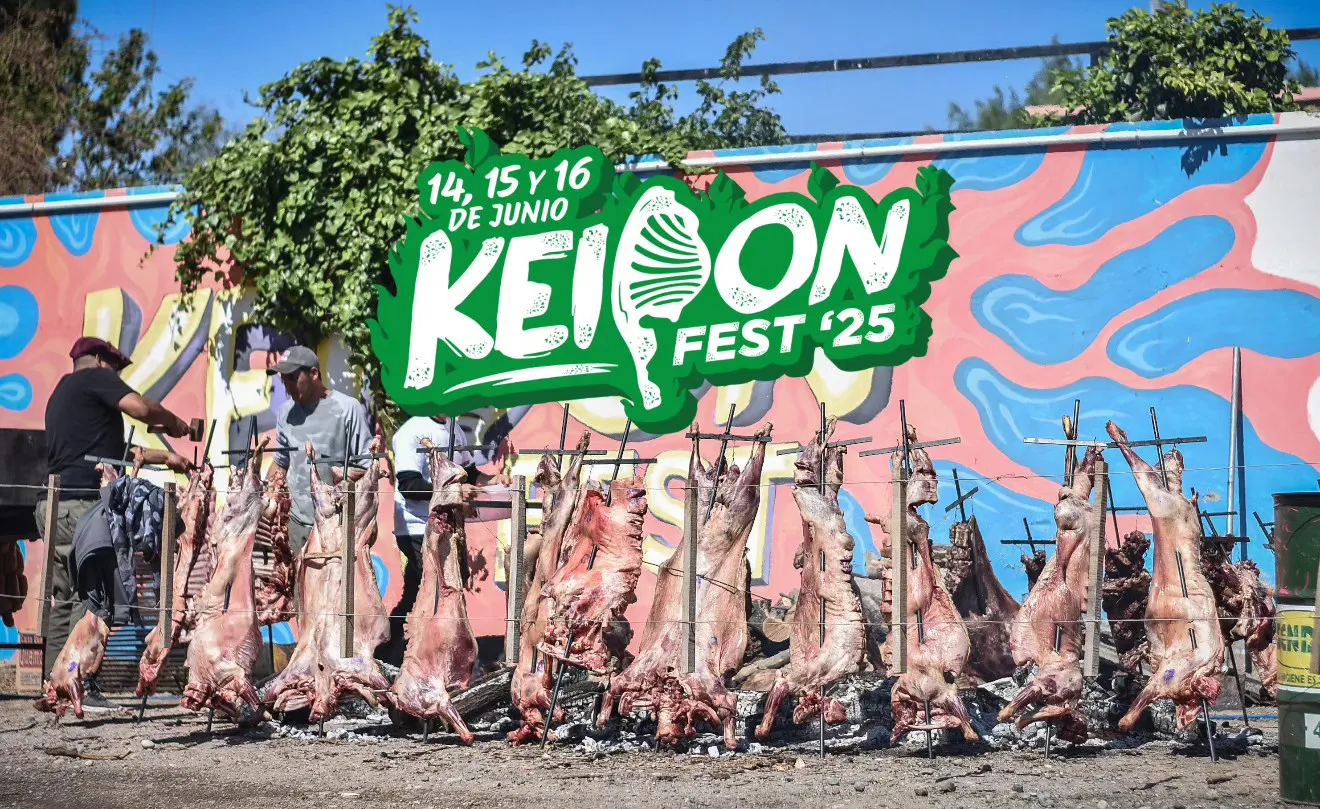 499781611_122163092060569046_2395879423331877277_n