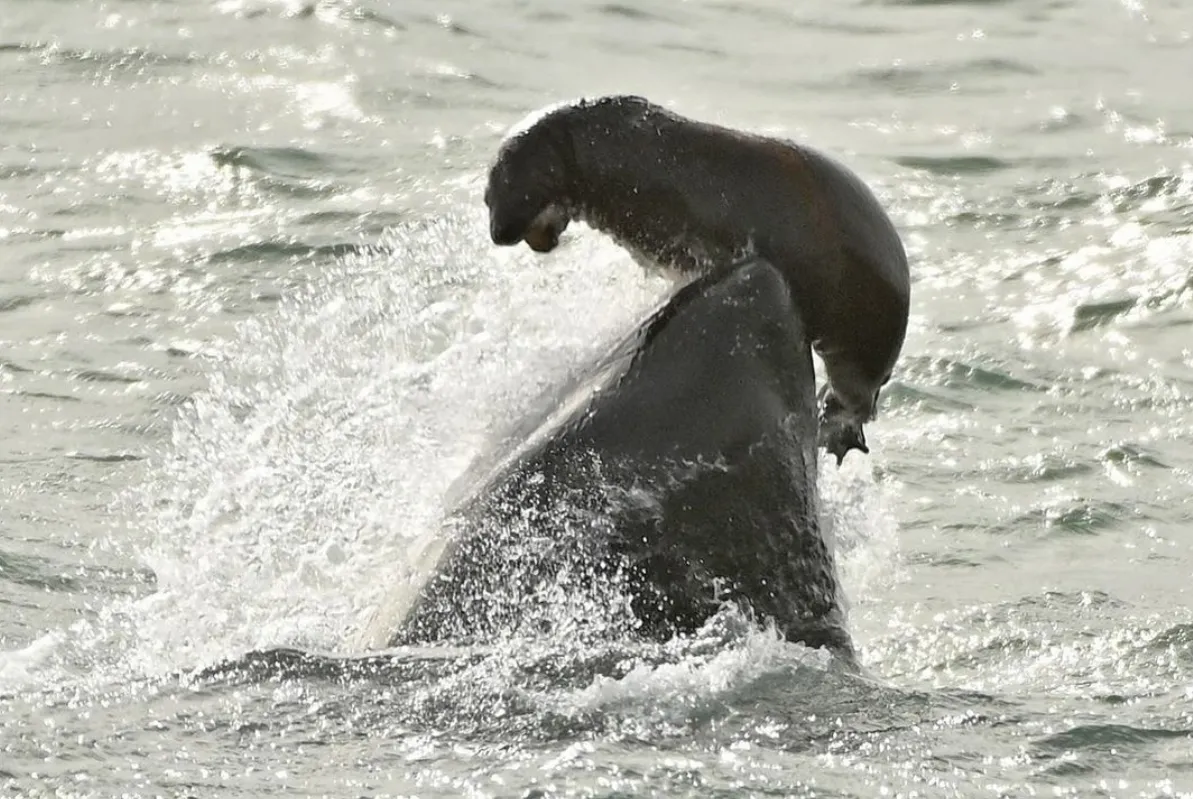 bd7717f6-7358-4083-a42d-37cb861e3159