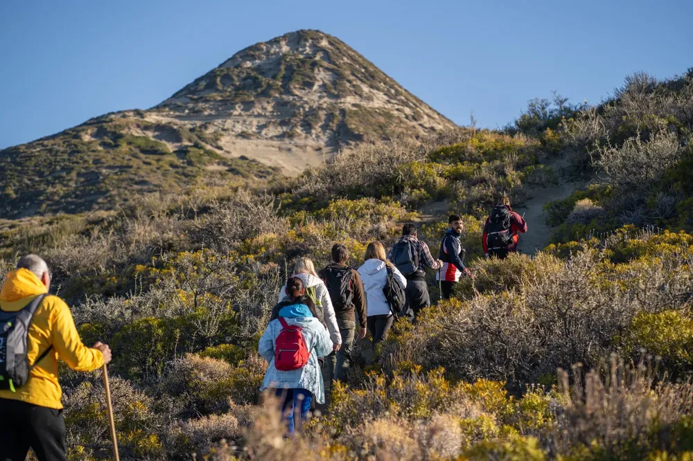 WhatsApp Image 2026-02-05 at 2.53.15 PM