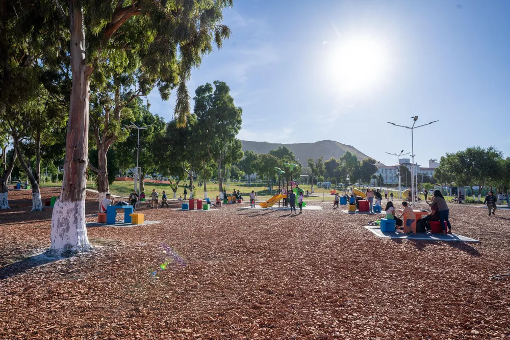 WhatsApp Image 2025-02-24 at 15.23.56