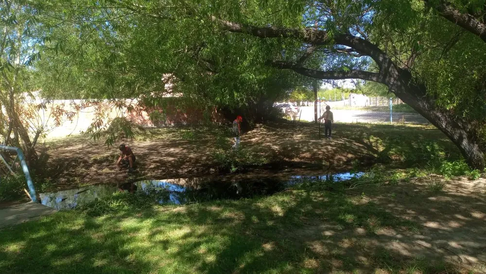 482974835_667492942465584_3777369833275977766_n