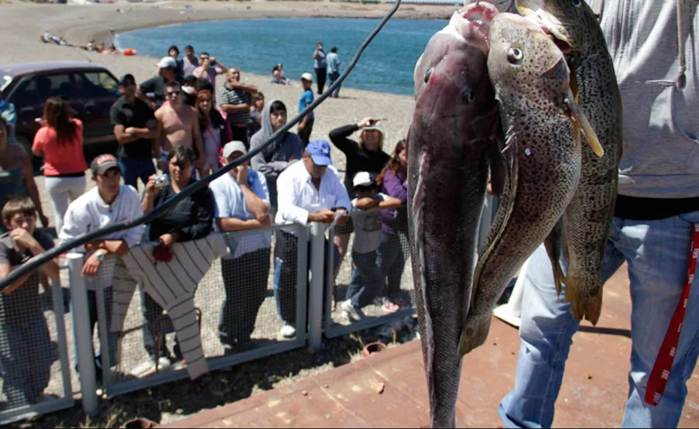 WhatsApp Image 2025-03-27 at 14.08.51