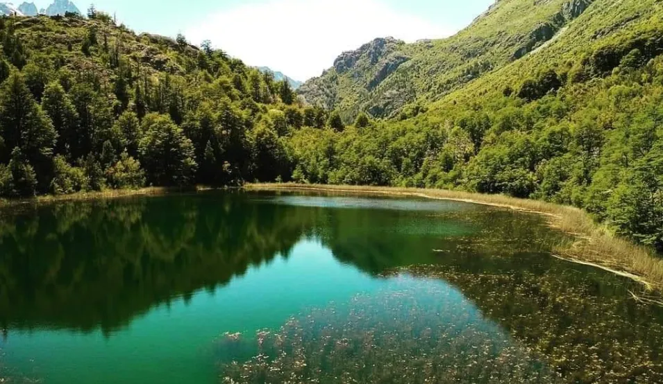 bf2ea304-238d-4af8-8584-7378c32eaaeb